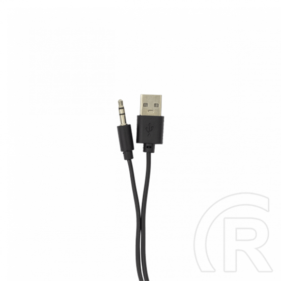 White Shark Beat RGB vezetékes hangszóró (2.0, 6 W, RGB, 3,5 mm jack, USB táp, fekete)