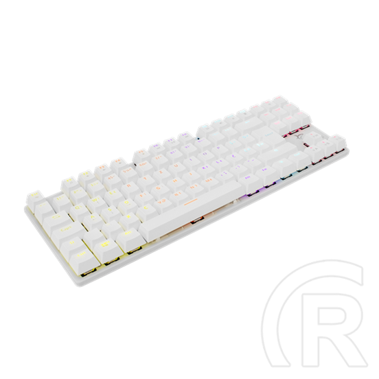 White Shark COMMANDOS GK-2106W/R-US billentyűzet (US, mechanikus Glory Red switch, 87 gomb, tenkeyless, USB 2.0, LED, fe
