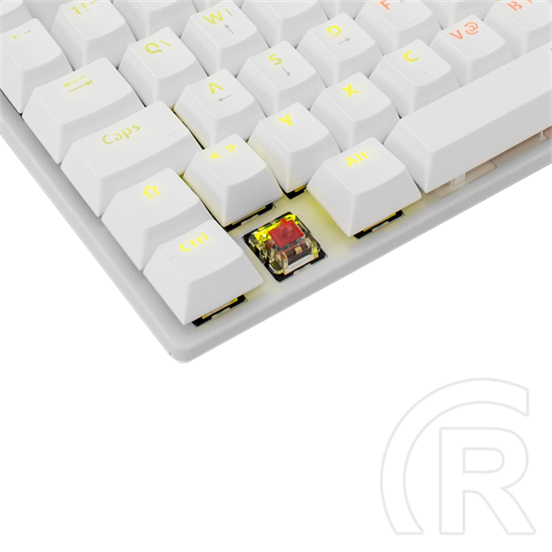 White Shark COMMANDOS GK-2106W/R-US billentyűzet (US, mechanikus Glory Red switch, 87 gomb, tenkeyless, USB 2.0, LED, fe
