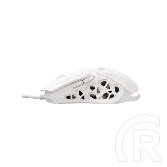 White Shark ECTOR-W GM-5016W gamer egér (vezetékes, optikai, 7 gombos, 7.200 DPI, RGB, fehér)