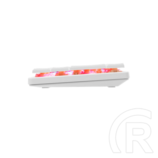 White Shark Nagamaki GK-006211W/R-US billentyűzet (US, vezetékes, mechanikus, 61 gomb, RGB világítás, USB 2.0, fehér)