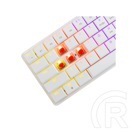 White Shark Nagamaki GK-006211W/R-US billentyűzet (US, vezetékes, mechanikus, 61 gomb, RGB világítás, USB 2.0, fehér)