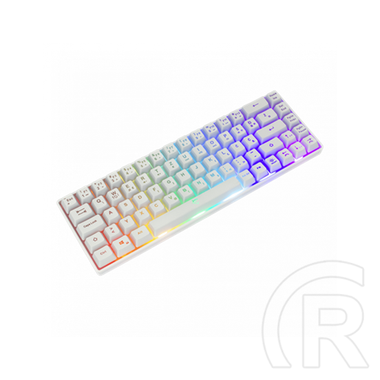 White Shark Ronin RGB billentyűzet (HU, USB, fehér)
