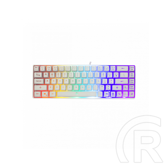 White Shark Ronin RGB billentyűzet (HU, USB, fehér)