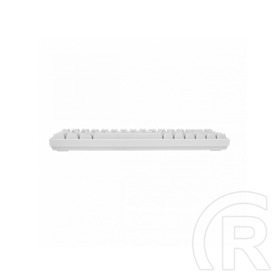 White Shark Ronin RGB billentyűzet (HU, USB, fehér)