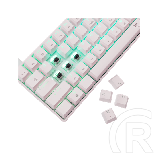 White Shark SHINOBI-2 billentyűzet (61, mechanikus, barna kapcsolók, hot-swap, RGB, vezetékes, angol, fehér)