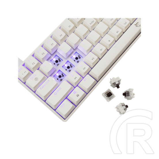 White Shark SHINOBI-2 billentyűzet (61, mechanikus, barna kapcsolók, hot-swap, RGB, vezetékes, angol, fehér)