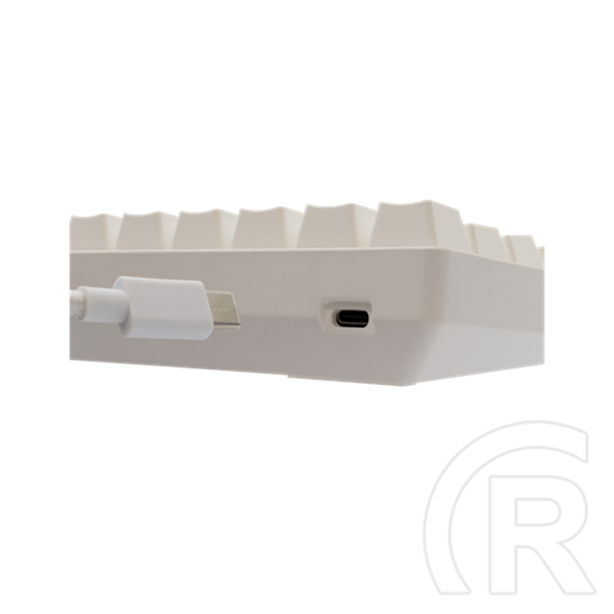 White Shark SHINOBI-2 billentyűzet (61, mechanikus, barna kapcsolók, hot-swap, RGB, vezetékes, angol, fehér)