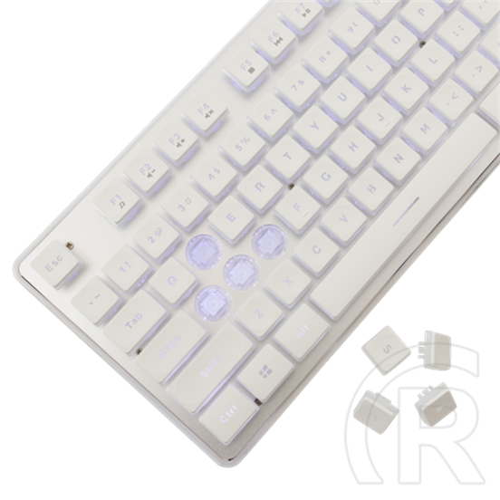White Shark TACHI-W GK-003241W-US membrán gamer billentyűzet (US, vezetékes, 104 gomb, világítás, USB 2.0, fehér)