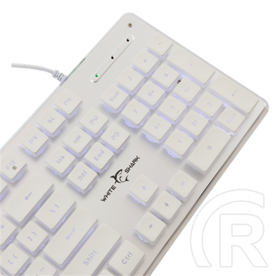 White Shark TACHI-W GK-003241W-US membrán gamer billentyűzet (US, vezetékes, 104 gomb, világítás, USB 2.0, fehér)