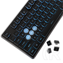 White Shark Tachi-B GK-003141B-US vezetékes membrán gamer billentyűzet (angol, 104 gomb, kék világítás, USB 2.0, fekete)