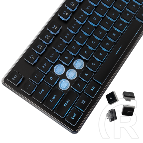 White Shark Tachi-B GK-003141B-US vezetékes membrán gamer billentyűzet (angol, 104 gomb, kék világítás, USB 2.0, fekete)