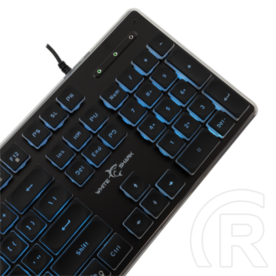 White Shark Tachi-B GK-003141B-US vezetékes membrán gamer billentyűzet (angol, 104 gomb, kék világítás, USB 2.0, fekete)