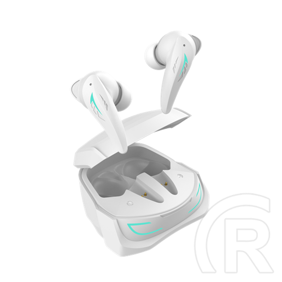 White Shark Titan-W bluetooth in-ear fülhallgató sztereo (v5.3, mikrofon, ANC, ENC, USB-C töltés, 6-7 óra, fehér)