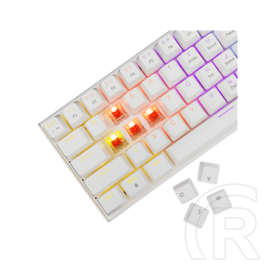 White Shark WAKIZASHI-2 (GK-002211V2) vezetékes mechanikus billentyűzet (angol, piros switch, 64 gomb, Rainbow világítás