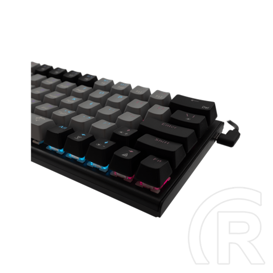 White Shark Wakizashi-2 billentyűzet (angol, vezetékes, USB 2.0, mechanikus, piros kapcsoló, szürke-fekete)