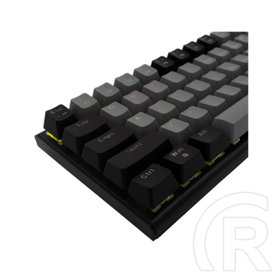 White Shark Wakizashi-2 billentyűzet (angol, vezetékes, USB 2.0, mechanikus, piros kapcsoló, szürke-fekete)