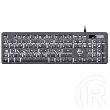 Genius gWings GW470kb billentyűzet (HU, USB, fekete)